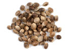 hemp_seeds