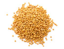  mustard_seeds